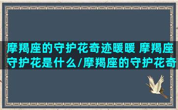 摩羯座的守护花奇迹暖暖 摩羯座守护花是什么/摩羯座的守护花奇迹暖暖 摩羯座守护花是什么-我的网站